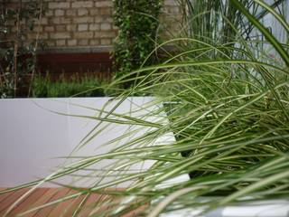 Roof terrace 1, Paul Newman Landscapes Paul Newman Landscapes Balcony, veranda & terrace