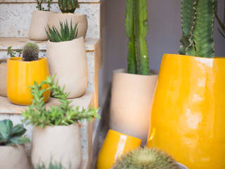 CASA COR MINAS 2014, Luiza Soares - Paisagismo Luiza Soares - Paisagismo Rustic style garden