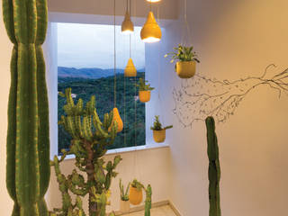 CASA COR MINAS 2014, Luiza Soares - Paisagismo Luiza Soares - Paisagismo Rustic style garden