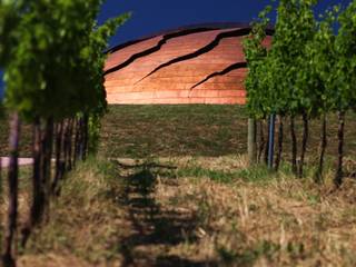 Tenuta Castelbuono, il Carapace, luca pedrotti architetto luca pedrotti architetto Bodegas de vino de estilo moderno