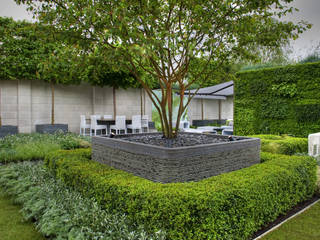 Chelsea Flower Show 2012 : The Rootop Workplace of Tomorrow, Aralia Aralia Commercial spaces Stone