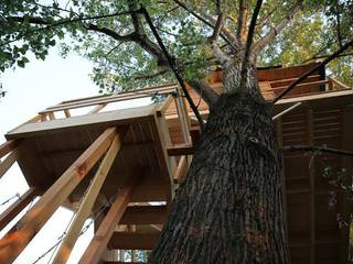 Treehouse, Nicola Preti - Architecture, Planning and Preservation- Nicola Preti - Architecture, Planning and Preservation- 컨트리스타일 발코니, 베란다 & 테라스 식물 & 꽃