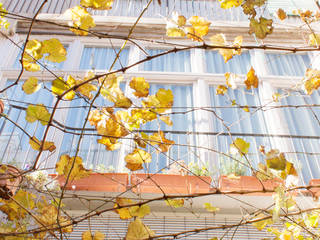 REFORMA DE VIVIENDA , PARRAMON + TAHULL arquitectes PARRAMON + TAHULL arquitectes Modern garden