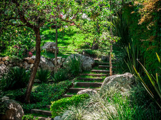 Urban Landscape Taman Modern