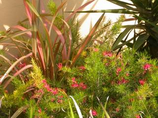 Giardino a Francavilla al Mare, alessia brignardello alessia brignardello สวน