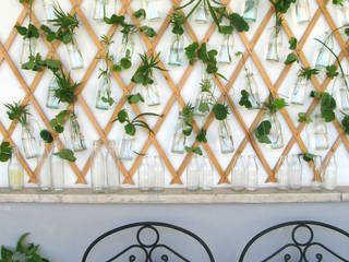 Giungla in bottiglia, Blogger Groovy Elisa Blogger Groovy Elisa Balcone, Veranda & Terrazza