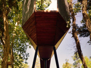 TREE SNAKE HOUSES, RA\\ Rebelo de Andrade RA\\ Rebelo de Andrade Commercial spaces Hotels