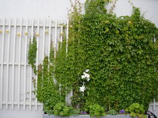 Große West-Dachterrasse, Nelka Nelka Balcony, veranda & terrace