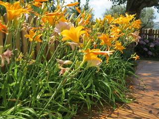 Giardino a Camerino, alessia brignardello alessia brignardello สวน