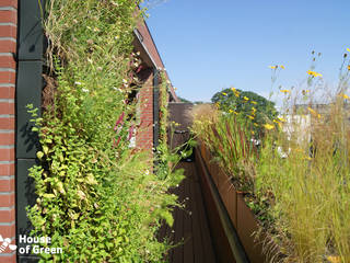 Complete terras make-over, House of Green House of Green Balcon, Veranda & Terrasse modernes