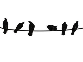 birds on wire , Covo Covo Ulteriori spazi