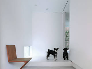 わんわんハウス, ARCHSOL DESIGN ARCHSOL DESIGN Modern Corridor, Hallway and Staircase