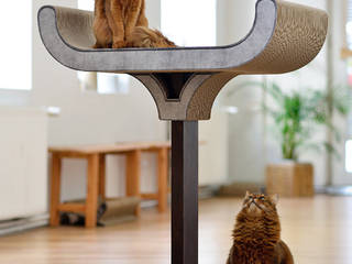 Design Kratzmöbel, cat-on cat-on Eklektik Oturma Odası Ahşap Ahşap rengi