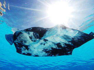 Beach Towels Nebula, schoenstaub schoenstaub Baños