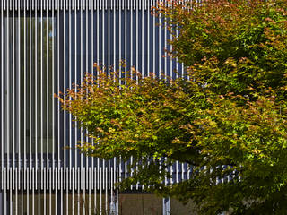 Anbau und Erweiterung eines Einfamilienhauses, Bruck + Weckerle Architekten Bruck + Weckerle Architekten Casas minimalistas