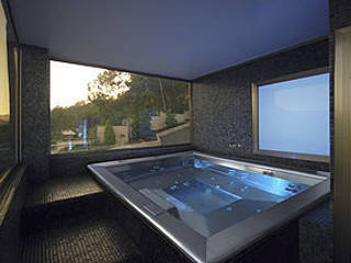 PISCINE E MINIPISCINE ACCIAIO INOX: Costruite su misura e la forma, Blumaxx Wellness Blumaxx Wellness 鐵/鋼 Metallic/Silver