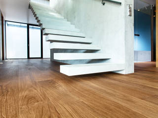 TRAPA bog-look oak meets béton brut, TRAPA Böden GmbH TRAPA Böden GmbH Dinding & Lantai Modern Wall & floor coverings