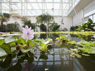 orto botanico, vs associati vs associati