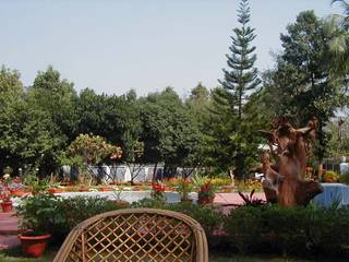 Garden land scaping & decoration, Anna Interiors Anna Interiors Rustieke tuinen