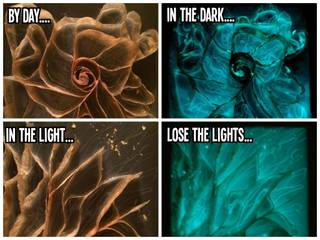Transforming artwork using Eli-Glow Photo luminescent Pigments, Eli-Chem Resins U.K Ltd Eli-Chem Resins U.K Ltd Mais espaços