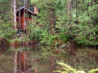 country by Woodlands Rainforest Retreat, Country