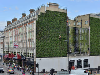 Rubens Hotel Project, Treebox vertical growers Treebox vertical growers Modern walls & floors