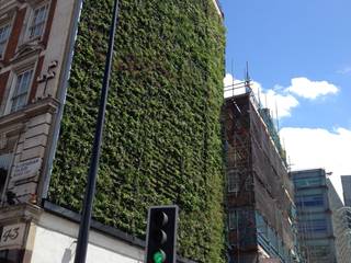 Rubens Hotel Project, Treebox vertical growers Treebox vertical growers Modern Walls and Floors