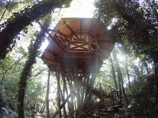 Casa sull'albero, Tree Top Builder Tree Top Builder Tropical style houses