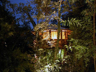 Casa sull'albero, Tree Top Builder Tree Top Builder Tropical style houses