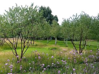 Several acres near Amersham, Joanne Alderson Design Joanne Alderson Design Country