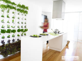 Vertikale Gärten zur Wandbegrünung, Greenbop Greenbop Taman interior Interior landscaping