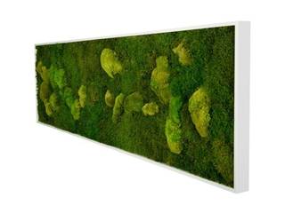 por Greenbop Minimalista