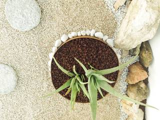 Nuntribel-Zen Garden, jnumeroverde jnumeroverde Vườn: thiết kế nội thất · bố trí · Ảnh