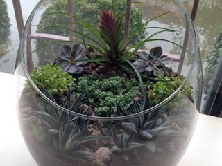 Terrariums, Ece Botanik Ece Botanik Внутренний сад