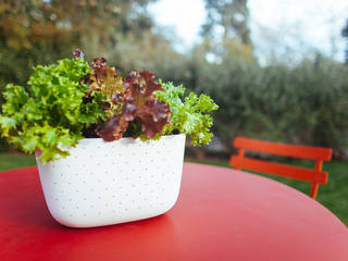 NEW Living Wall Planter, Woolly Pocket Woolly Pocket