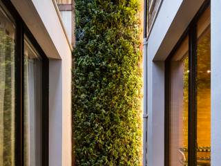 Private Garden, Belgravia, Living Wall Biotecture Jardin Fleurs & Plantes