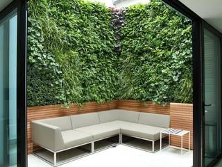 Private Courtyard, London, Living Wall Biotecture Garden Plants & flowers