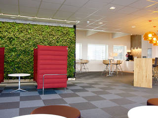 Office Break-out Space, Trondheim, Norway, Biotecture Biotecture Interior garden