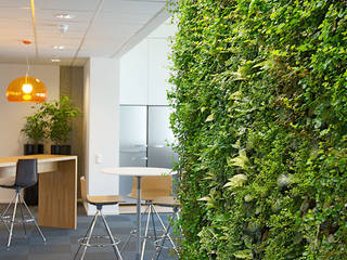Office Break-out Space, Trondheim, Norway, Biotecture Biotecture Interior garden