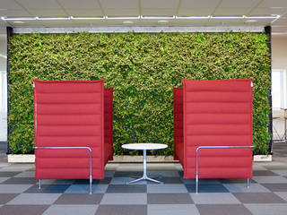 Office Break-out Space, Trondheim, Norway, Biotecture Biotecture Interior garden