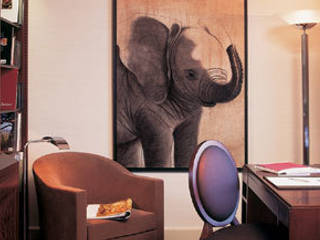 ​Hotel Lutetia, Thierry Bisch - Peintre animalier - Animal Painter Thierry Bisch - Peintre animalier - Animal Painter Więcej pomieszczeń