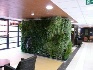 homify حديقة داخلية Interior landscaping