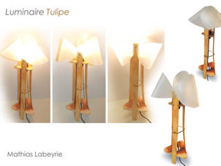 Lampe Tulipe, Mathias LABEYRIE Mathias LABEYRIE Dormitorios de estilo ecléctico