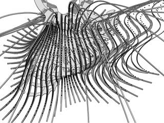 Arboreal Lightning, Atmos Studio Atmos Studio Commercial spaces