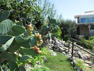 A un tuffo dal mare, MELLOGIARDINI EXTERIOR DESIGNERS MELLOGIARDINI EXTERIOR DESIGNERS Mediterranean style garden