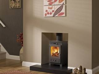 Hillandale Wood Burning / Multi Fuel Stoves, Direct Stoves Direct Stoves ห้องนั่งเล่น