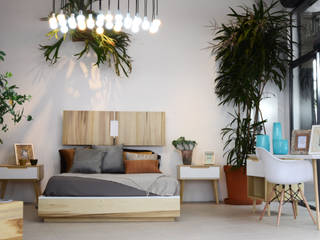 Clorofilia 2015, Clorofilia Clorofilia Modern style bedroom