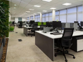 Bayer, MW Arquitetura MW Arquitetura Eclectic style study/office