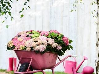 Sommergarten, Pflanzenfreude.de Pflanzenfreude.de Jardins ecléticos Plantas e flores