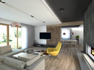 Projekt domu jednorodzinnego 5, BAGUA Pracownia Architektury Wnętrz BAGUA Pracownia Architektury Wnętrz Modern living room